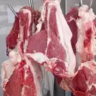جزار بلدى وفرنجى ابحث عن شغل متواجد فى مكه