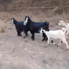 اذكروا الله وصلوا على النبي