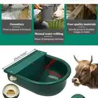 ابحث عن مزرعه اجار