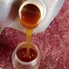 عسل طلح للبيع اصلي