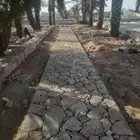 معلم حجر كبير وسغير