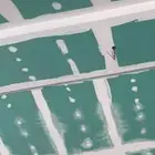 دهانات بويا باكستاني