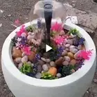 احواض زراعيه .فود تركات . ديكورات . كشكات