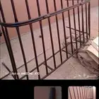 شبك ددسن غمارتين
