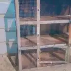 محكر صيصان او حمام