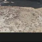 ونش كرين