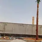 يوجد لدينا نخل واشنطن امريكي ابومروح درجه اولى