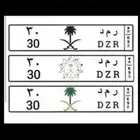لوحة   لوحة _ مميزة   لوحة _ للبيع