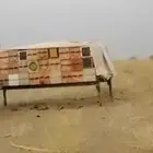 نحل وحد وعشرين عود