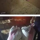 كيسين لوز بجلي الموقع سوق صياده بني مالك