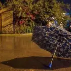 دور جديد للاجار اليومي بالسوده ربيعه ورفيده