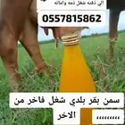 سمن بقر بلدي علي الشرط مضمون