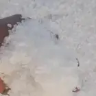 ملح خشن
