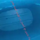 عزل وتصليح تانكى مياه سكس عايدى ضمان أن شاءالله ولا نقطه ميا
