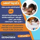 معلمه صعوبات تعلم  تخاطب تأسيس اهلى وحكومى حضورى بالرياض