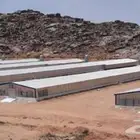 مزرعه دواجن للايجار