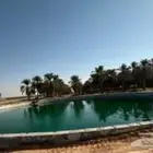 ب ل ه   يو ا  امري 2019