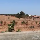 بناء احواض سقي واحواض سمكيه