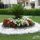 تنسق حدق مهندس جابر تركيب تيل صاني تركيب شبكات جميع الاشجار