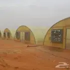 شتلات خضار .بيوت محمية .زراعه مكشوفه