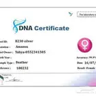 ببغا امزوني