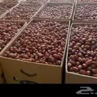 300كرتون تمر مفتل وزن الكرتون حوالي من19الى20كيلو السعر على