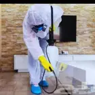 شركة رش حشرات مكافحة الصراصير والنمل والبق بالمدينة