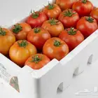 للتصوير المنتجات مطاعم كافيهات عقارات وغيرها