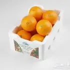 التصوير للمنتجات وبورتريه وغيرها
