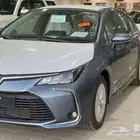 كداد سفريات ومشاوير دوام يوميا