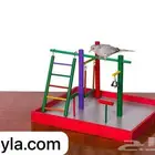 متجر حيوانات أليفه طيور حيوانات