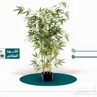 شجر صناعي بسعر الجمله