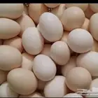 بيض بلدي طازج مائده
