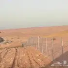 مقاول شبوك