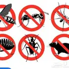 أدوات رش مبيدات ومكافحة اصراصير ونمل و البق بالمدينة