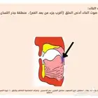 اخصائي تخاطب وتنمية مهارات وتعديل سلوك