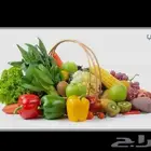 مطلوب محل خضار