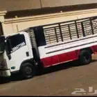 دينا نقل المدينة المنورة