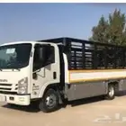 شبك دنه في الرياض دينه بالرياض وخارج الرياض