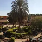 الشرائع الخضراء