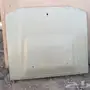 كبوت شاص للبيع