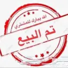 صيصان بلدي للبيع