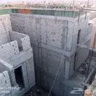 الدخل المحدود