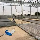 صيبه ميتبع صيبه ميزنه