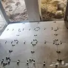 مبلط سيراميك ورخام اعمل جميع احواض الزراع والشلالات الأرصفة