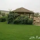 تنسيق حدائق