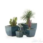 مراكن زراعة فاخرة لتنسيق الحدائق والمنزل