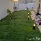تنسيق حدائق وتركيب شباكات الري والعشب الصناعي وعلاج النخيل