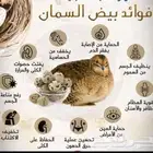 بيض سمان لل بيع .تم بيع اسمان