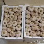 ثوم أحمر للعرض ( بالفلين _ كيلو _ طن ) للتواصل